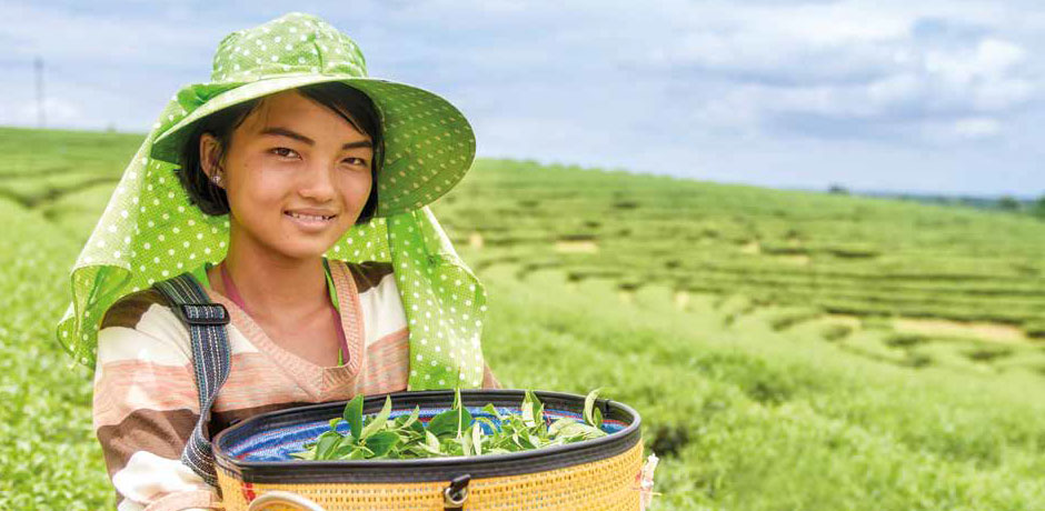Fairtrade kaffe til erhverv